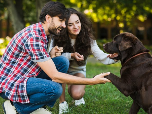 Imóveis pet-friendly em Orlando