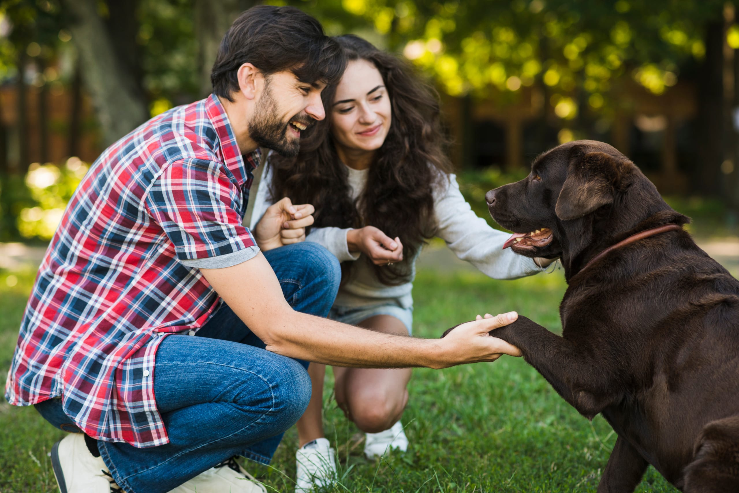 Imóveis pet-friendly em Orlando